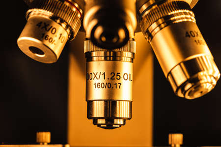 professional microscope in laboratory, science equipment and medical tools to looking micro scale, microbiology and medicine research in laboratory with microscopeの写真素材