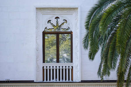 palm leaves against the white walls of the house with a huge window reflecting the leaves of the...