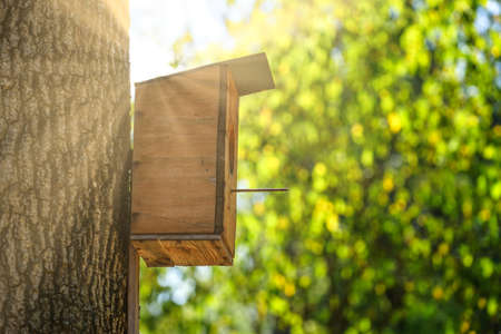 A birdhouse made of plywood on a thick tree trunk and natural background in Sunny day.の写真素材