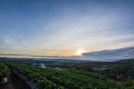 Khao Kho Mountain Natureの素材