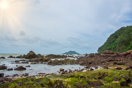 View of nature, sea and treesの素材