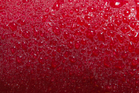 Macro background of water drops on red rosesの素材