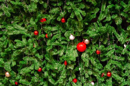 Red ball ornament on a Christmas tree Background.の素材