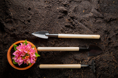 Rake and spades transplanting Tools with top view background. Home gardening arranges your plant and small gardening with your style. Botany decoration.の素材