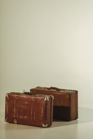 vintage brown leather travel bagsの素材