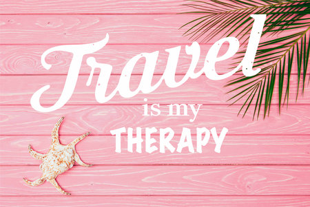 top view seashell palm leavesの素材