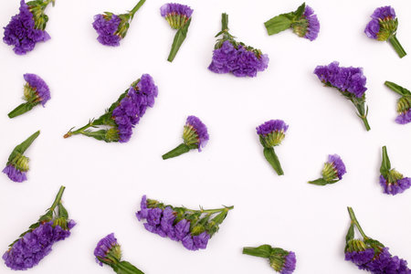 Flowers composition & beautiful blooming flowers on paper backgroundの素材