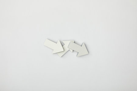 top view grey white pointersの素材