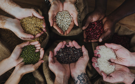 Hands holding fresh grain harvestの素材