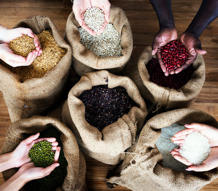 Group of handful of crops seeds in aerial viewの素材