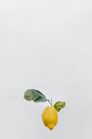 Flying fresh lemon in a gray skyの素材