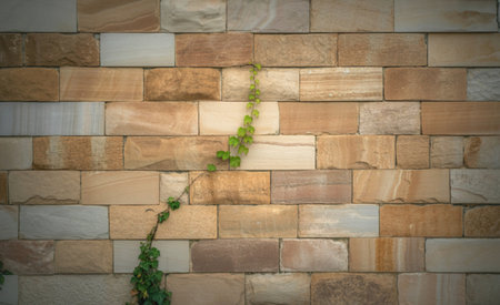 A vibrant green vine with small leaves gracefully ascends a wall constructed from rectangular...
