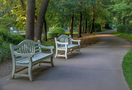 Two elegant white park benches sit beside a winding concrete pathway through a lush green park....