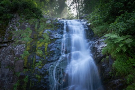 A beautiful, misty waterfall flows down moss-covered rocks surrounded by vibrant green foliage and trees, creating a serene natural scene.の写真素材