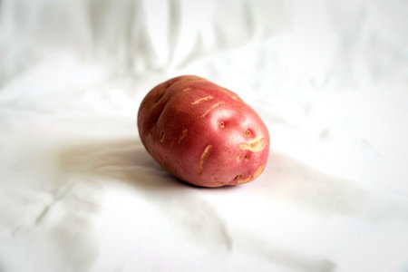 A single red-skinned potato rests on a white, slightly wrinkled surface, casting a subtle shadow.の写真素材