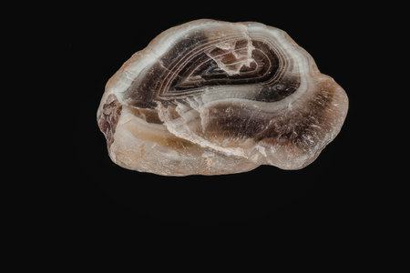 The image shows a close-up view of an agate geode with a predominantly brown and white color scheme,...