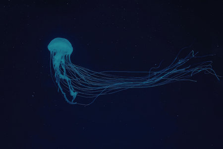 A bioluminescent jellyfish swims through the dark water with its glowing blue body and tentacles.