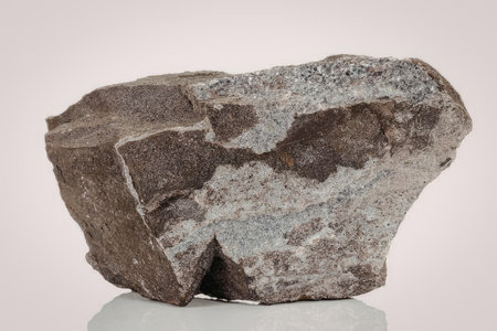 A large gray rock with a rough surface and jagged edges, set against a plain white background.
