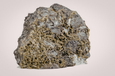 A large rock with green and white spots on a plain white background.