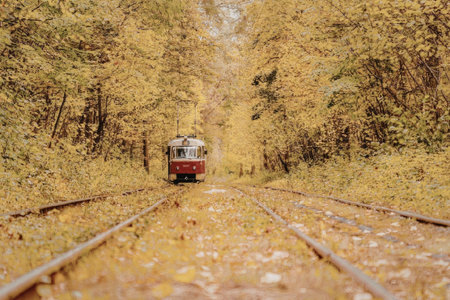 A red train traveling down a set of train tracks through a forest during autumn.