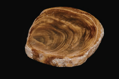 A polished slice of agate, a type of chalcedony, showcasing its characteristic banded pattern...
