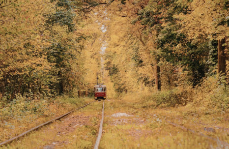 A train travels down a track through a vibrant autumn forest with yellow, orange, and green trees.の写真素材
