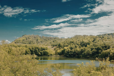A peaceful lake is nestled among vibrant green trees under a blue sky with scattered clouds.