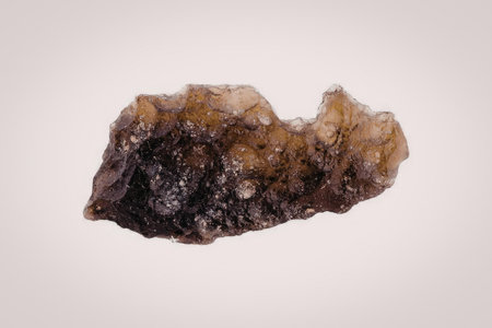 The image shows a close-up of a piece of dried fruit, possibly a date or prune, against a white...