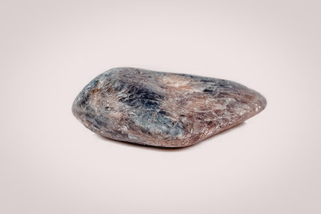 This image presents a close-up view of a rock with a predominantly dark coloration and subtle hints...