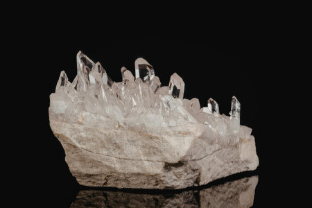 A cluster of clear quartz crystals protruding from a beige rock, set against a black background.