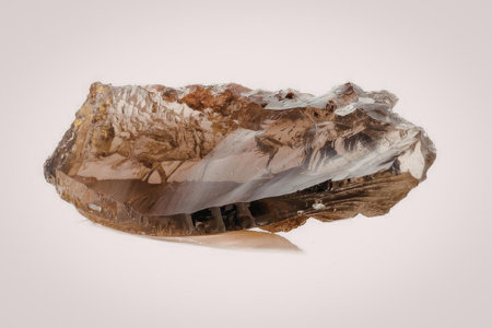 The image features a polished slice of stone, showcasing its intricate patterns and colors.の写真素材