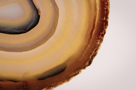 A close-up image of a sliced agate stone showing its distinctive banded pattern
