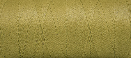 A close-up of a spool of green thread on a white background