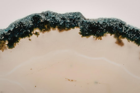The image displays a close-up view of a slice of agate stone, showcasing its distinctive banded...