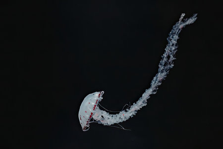 A white creature with a bulbous head and long, thin tail swimming in dark water.
