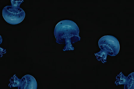 A group of blue jellyfish swimming in the dark water, their translucent bodies glowing with a soft...