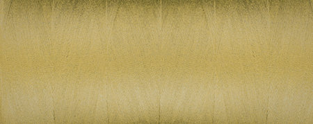 A close-up view of a green textured surface, possibly a fabric or a natural material.