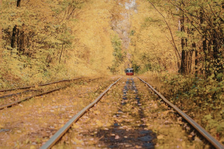A railway track runs through a vibrant autumn forest with colorful trees and fallen leaves on the...