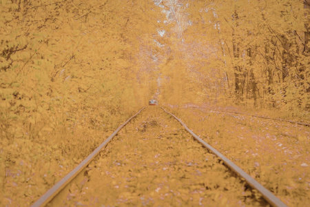 A railway track runs through a vibrant autumn forest with orange and yellow leaves covering the ground and trees.の写真素材