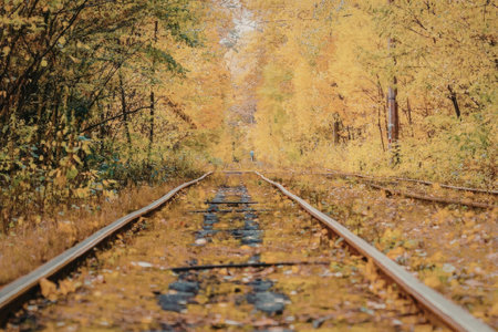 A railway track runs through a vibrant autumn forest with colorful trees and fallen leaves on the...