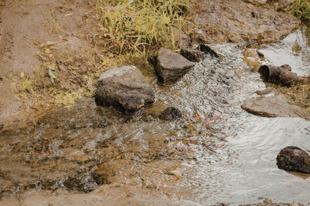 A small stream flowing gently over rocks and through a natural landscape with greenery