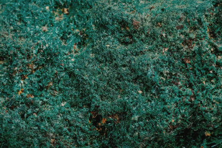 The image displays a close-up view of vibrant green foliage, possibly from a plant or tree. The...