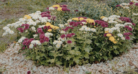 A garden bed filled with vibrant pink, yellow, and white flowers.