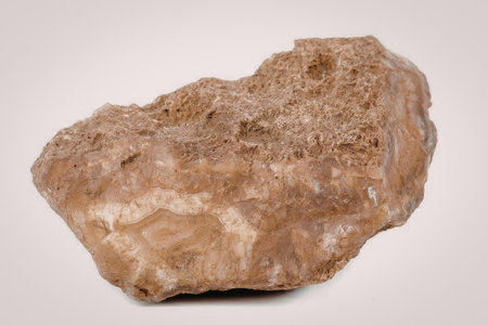 The image depicts a brown rock with a rough and uneven surface. The rock is irregularly shaped and...