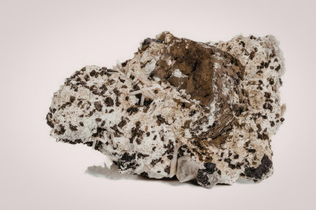 A large brown and white rock with speckles on a white background