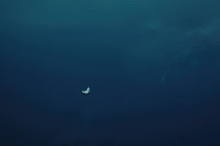 The image depicts a small white object floating in the ocean. The object appears to be...