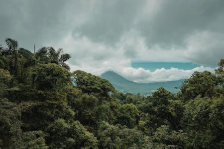 An image of a dense forest with a mountain peak in the background under a cloudy sky