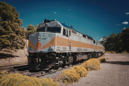 A train is traveling on a track surrounded by yellow flowers and trees under a blue sky.