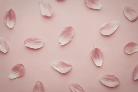 A visually appealing arrangement of delicate pink rose petals scattered across a soft pink background, creating a serene and calming atmosphere.の写真素材