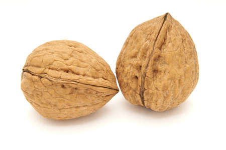 Two walnuts isolated on white canvas